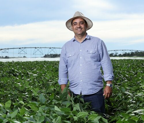 Investimentos em recursos técnicos e tecnológicos criam cenário de equilíbrio em ano desafiante – Artigo de Bruno Sampaio – BMG Agro