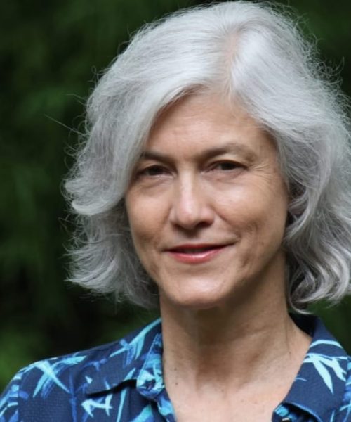 A biografia da primeira escola Waldorf de Belo Horizonte será lançada pela jornalista Eliane Dantas no sábado (15)