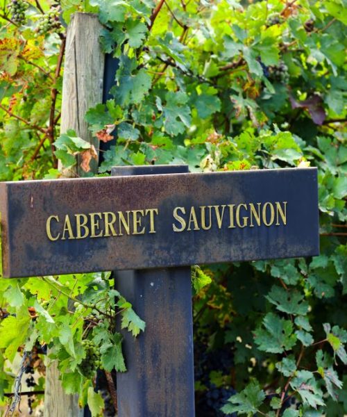 Você sabia que 29 de agosto é Dia da Cabernet Sauvignon? Que tal uma viagem pelos terroirs de Bordeaux, Argentina, Chile e Austrália