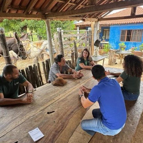 Intercâmbio quer impulsionar formalização das queijarias do Vale do Suaçuí 