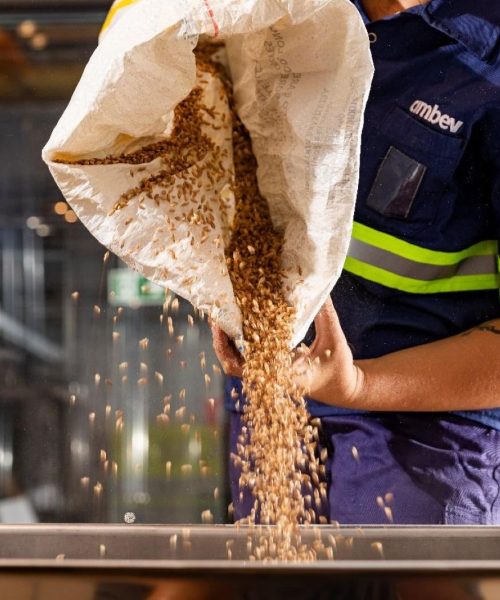Ambev promove congresso para falar sobre a cultura da cerveja – Do Grão ao Gole é Aberto ao Público