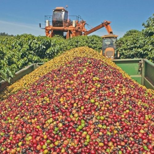 Exportações mineiras para os EUA caem 49,5% 