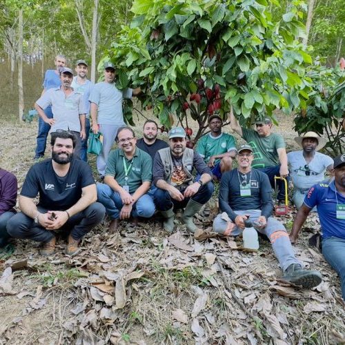 Curso piloto de cacauicultura capacita produtores em Raul Soares 