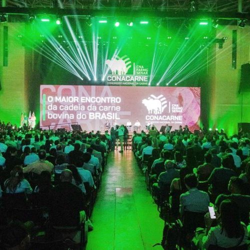 Conacarne 2025 discute caminhos para o futuro da pecuária brasileira 