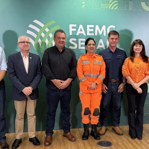 Parceria fortalece prevenção a incêndios rurais em Minas 