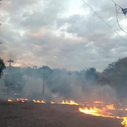 Queimadas deixam 11 mil sem energia 