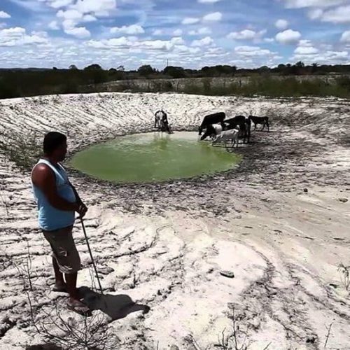 Agro sofre prejuízos de R$ 875 mi 