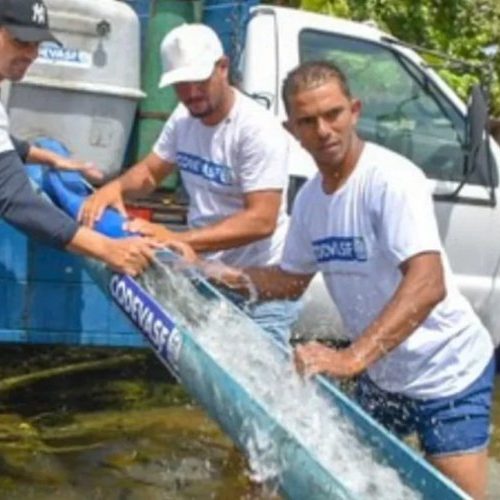 Peixamento fortalece pesca artesanal no Norte 