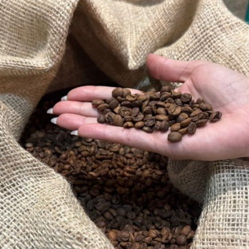 Agronegócio mineiro cresce 