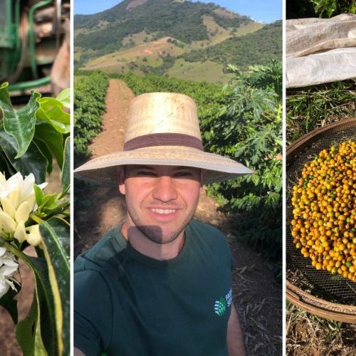 Sítio Cascalho: histórias de superação na cafeicultura 