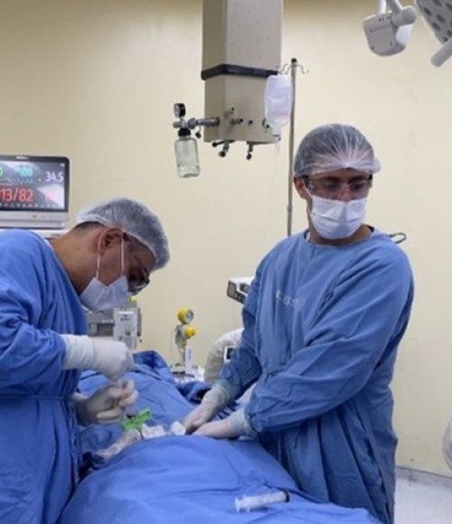 UFU faz primeiro transplante alogênico 