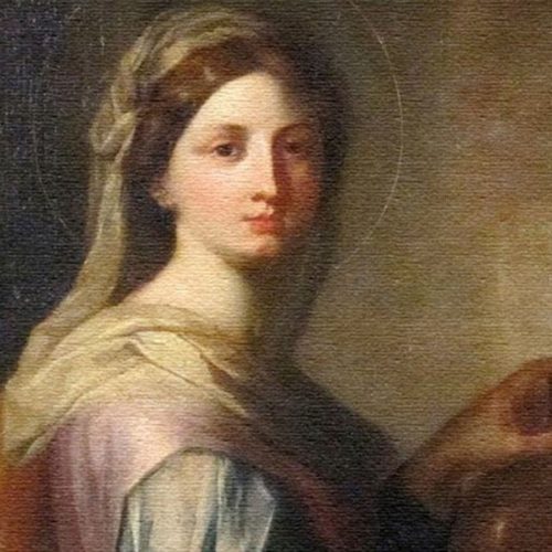 O que tem em comum as Antas, os Designers Gráficos, os Engraxates e os Empregados Domésticos com a Liberdade dos Sul Africanos?