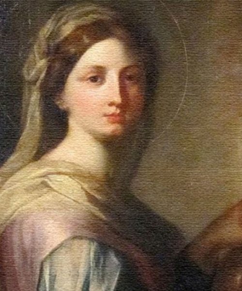 O que tem em comum as Antas, os Designers Gráficos, os Engraxates e os Empregados Domésticos com a Liberdade dos Sul Africanos?