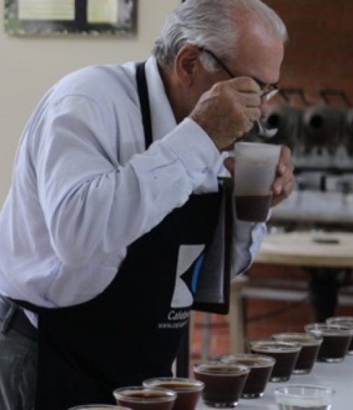 Novo protocolo transforma avaliação dos cafés especiais no Brasil 
