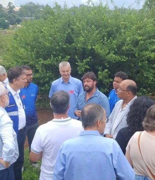 O potencial da vitivinicultura de inverno em MG 