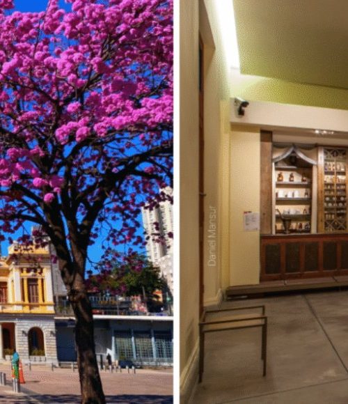 Feira da Estação realiza edição especial de Dia das Mães no SESI Museu de Artes e Ofícios 