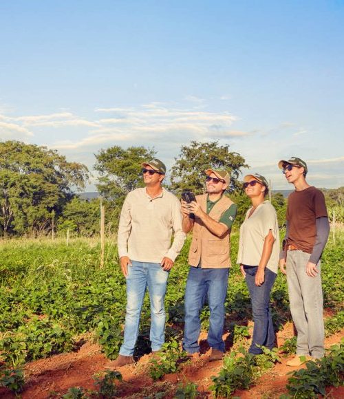 Sistema Faemg Senar lança campanha que leva o agro ao território da cultura 