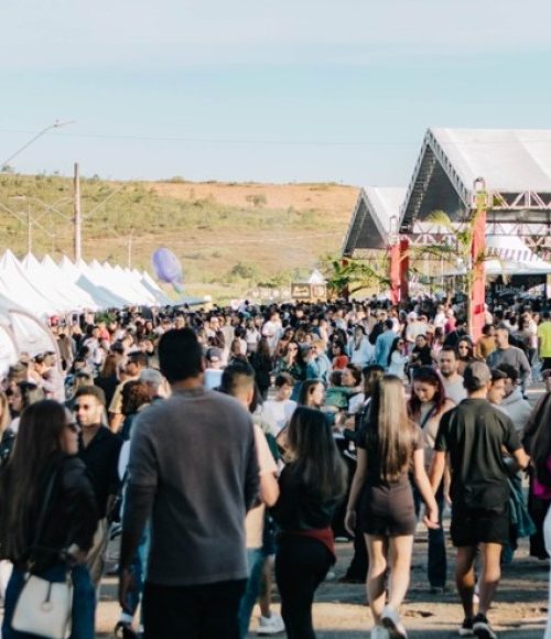 Festival faz sucesso em 13 municípios 
