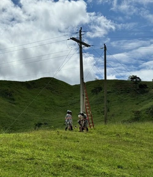 Eletrificação rural recebe investimentos 