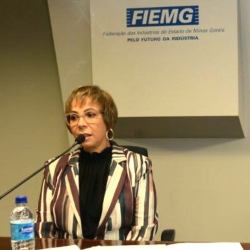 FIEMG vê avanço na abertura do mercado de gás natural e aposta em redução de custos para a indústria