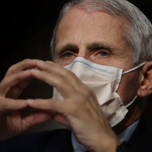 Anthony Fauci e a COVID-19: quando uma pandemia se transforma em um caso de Inteligência de Estado – Por: Jorge Bessa