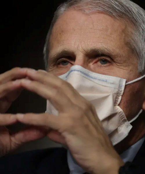 Anthony Fauci e a COVID-19: quando uma pandemia se transforma em um caso de Inteligência de Estado – Por: Jorge Bessa