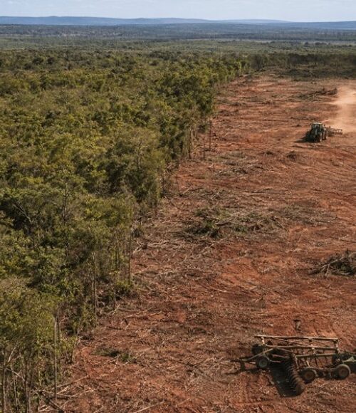 Operação investiga desmatamento do Norte 