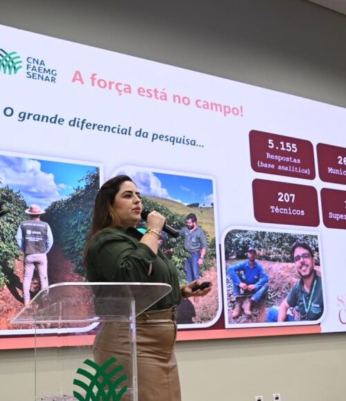 Safra de café em Minas Gerais deve alcançar 33,4 milhões de sacas em 2026 