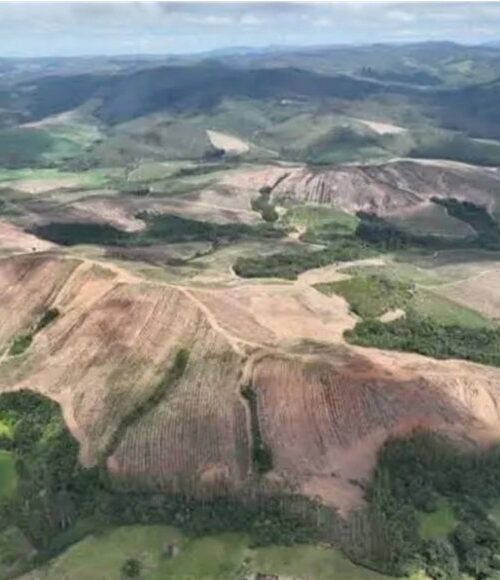 Empresa anuncia aquisição bilionária em Minas 